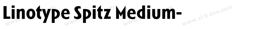 Linotype Spitz Medium字体转换